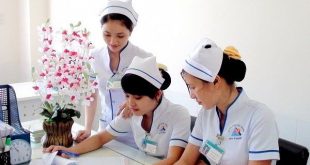 Học ngành dược ở trường nào Nhật Bản?